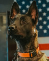 Police Officer Keith Wayne Boyer