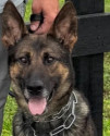 Police Officer Keith Wayne Boyer