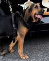 Police Officer Keith Wayne Boyer